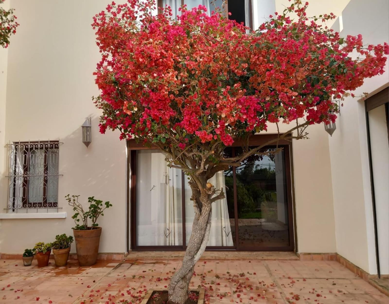 Hotel Dar Al Manar El Yadida Exterior foto